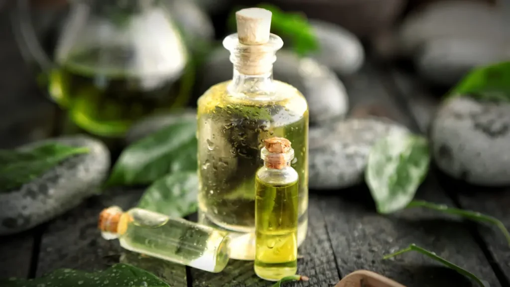روغن درخت چای، روشی گیاهی برای مراقبت از پوست