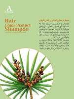 شامپو گیاهی تخصصی موهای رنگ شده، کراتینه و آسیب دیده آراکسین - Image 9