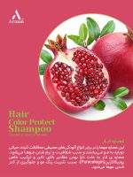 شامپو گیاهی تخصصی موهای رنگ شده، کراتینه و آسیب دیده آراکسین - Image 8