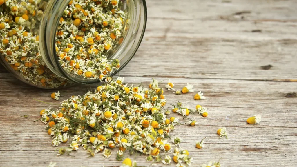 جایگاه بابونه برای پوست