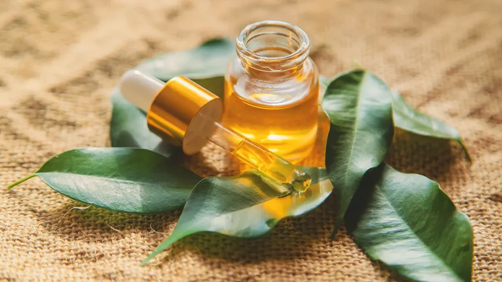 روغن درخت چای و خواص آن برای پوست